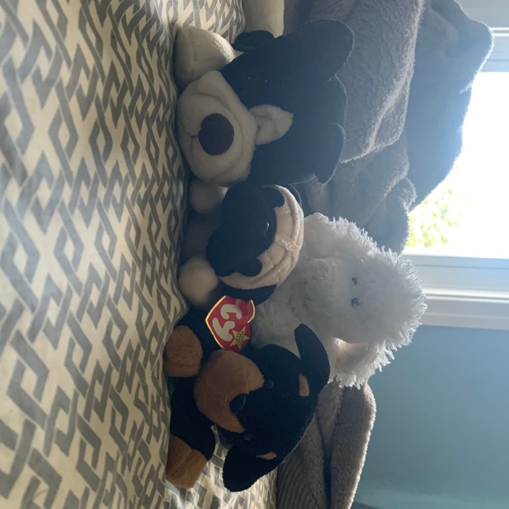 4 Dog beanie bundle
